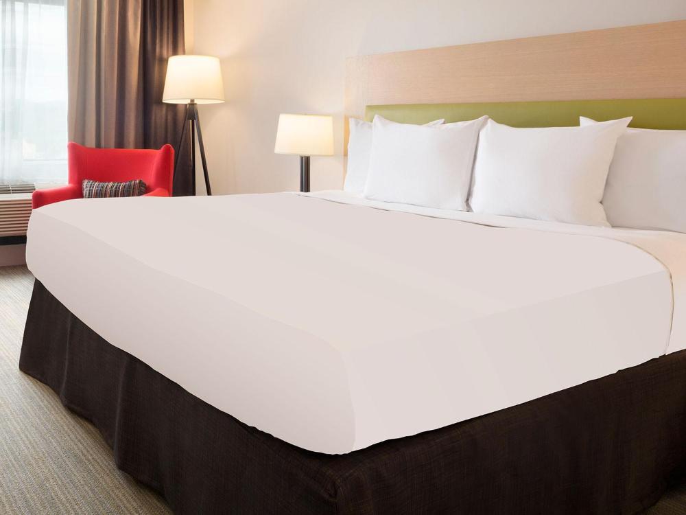 One-Bedroom King Suite with Sofa Bed interior
